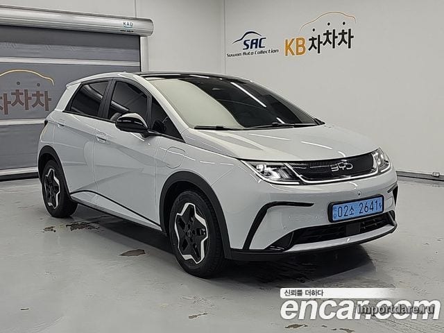 BYD Dolphin сзади