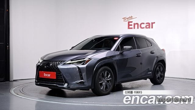 LEXUS UX250H 2019 — 96 709 км, серый, Корея — под ключ — фото 1