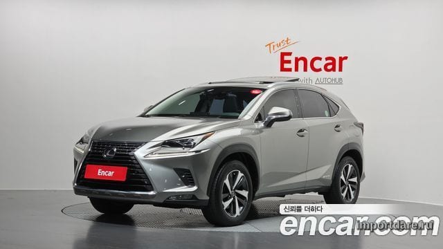 Lexus NX300 2021