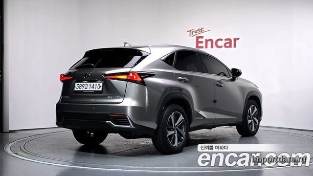 LEXUS NX300H 2020 — 48 384 км, светло-золотистый, Корея — под ключ — фото 2