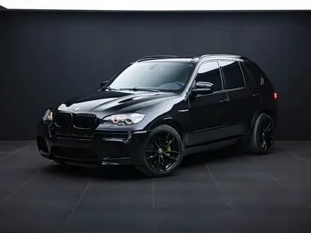BMW X5 M 2010