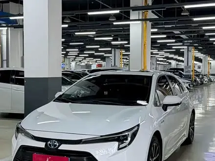 TOYOTA LEVIN — из Китая под ключ