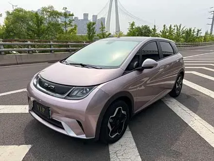 BYD DOLPHIN — из Китая под ключ