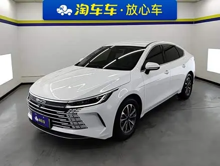 BYD DESTROYER 05 2024