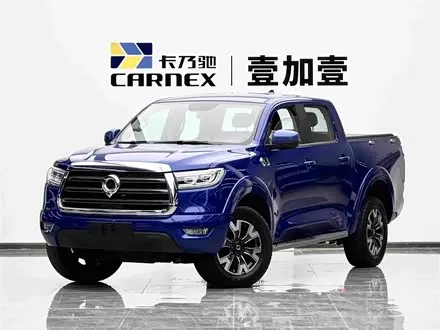 GREAT WALL POER 2019