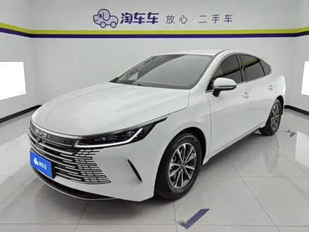 BYD DESTROYER 05 2024