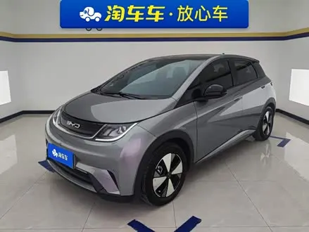BYD DOLPHIN — из Китая под ключ