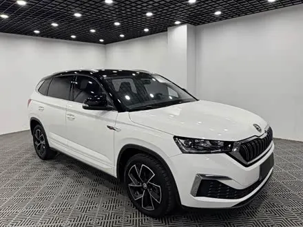 SKODA KAMIQ — из Китая под ключ