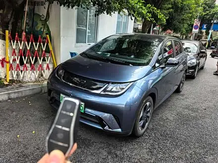 BYD DOLPHIN — из Китая под ключ