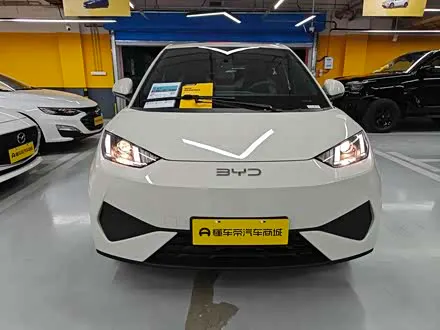 BYD SEAGULL — из Китая под ключ