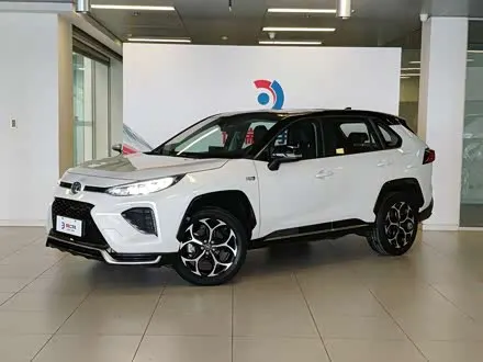 TOYOTA WILDLANDER — из Китая под ключ