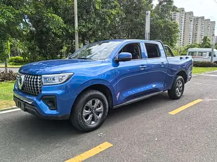 GREAT WALL POER 2023
