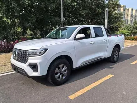 GREAT WALL POER 2023