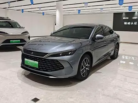 BYD QIN L 2024