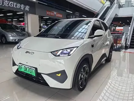 BYD SEAGULL — из Китая под ключ
