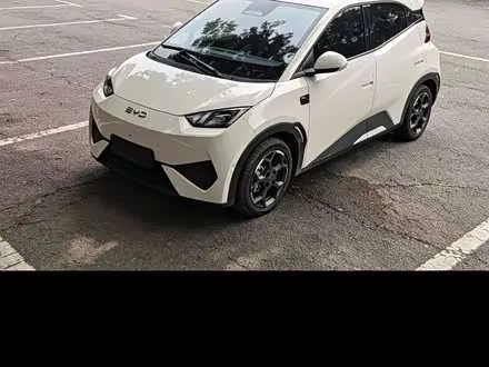 BYD SEAGULL 2025