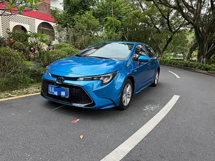 TOYOTA LEVIN 2019
