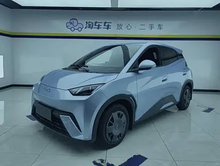 BYD SEAGULL 2024