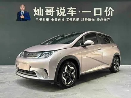 BYD DOLPHIN 2021