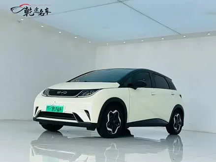 BYD DOLPHIN 2021