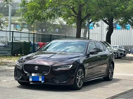 JAGUAR XEL 2020