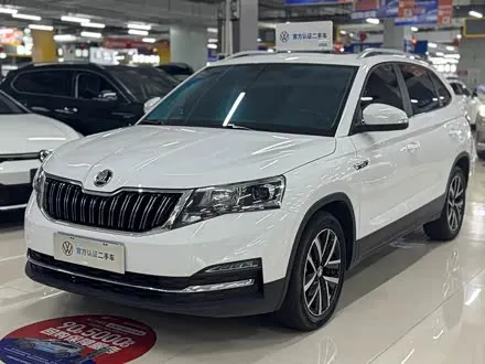 SKODA KAMIQ — из Китая под ключ