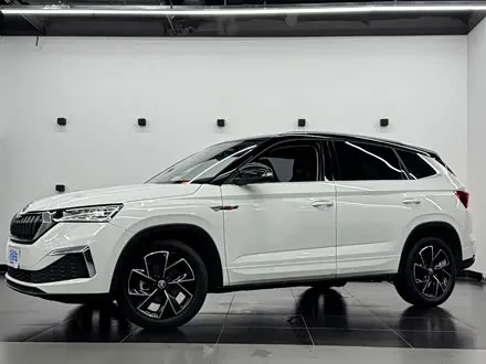 SKODA KAMIQ — из Китая под ключ