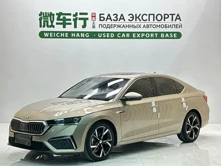 SKODA OCTAVIA — из Китая под ключ