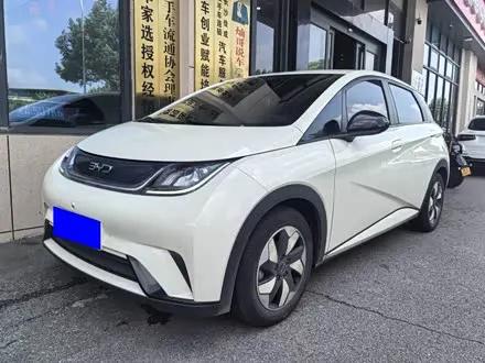 BYD DOLPHIN — из Китая под ключ