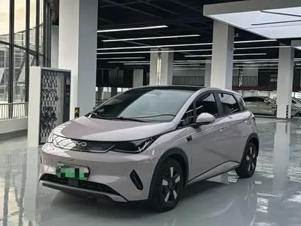 BYD DOLPHIN — из Китая под ключ