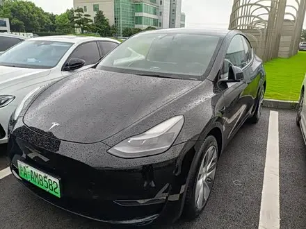 TESLA MODEL Y — из Китая под ключ