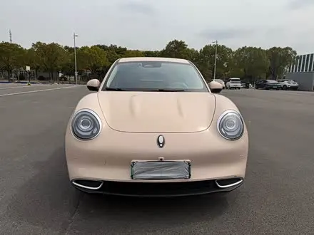 ORA GOOD CAT 2024 — 20 000 км, Китай — под ключ — фото 1