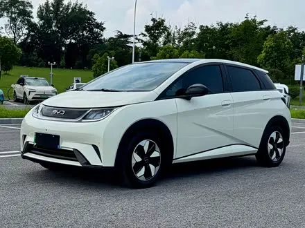 BYD DOLPHIN — из Китая под ключ