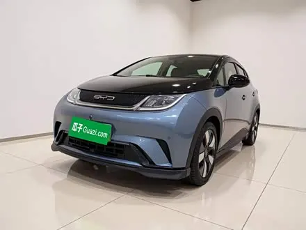 BYD DOLPHIN — из Китая под ключ