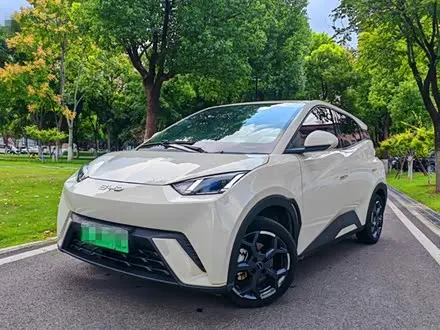 BYD SEAGULL — из Китая под ключ