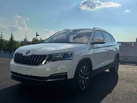 SKODA KAMIQ — из Китая под ключ