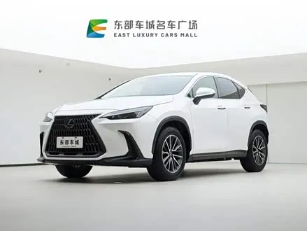 LEXUS NX — из Китая под ключ