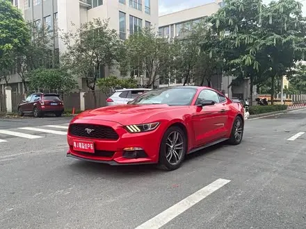 FORD MUSTANG — из Китая под ключ