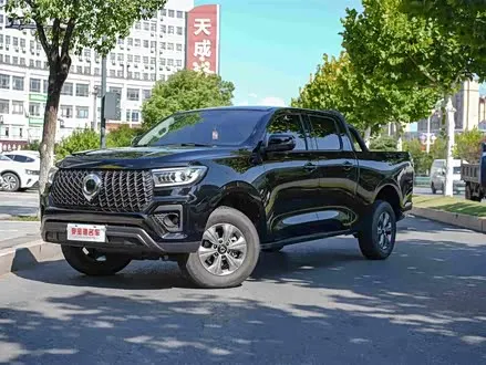 GREAT WALL POER 2023