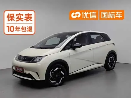 BYD DOLPHIN — из Китая под ключ