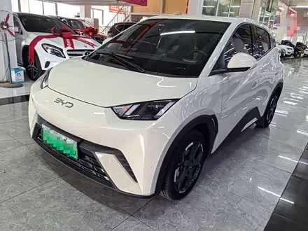 BYD SEAGULL — из Китая под ключ