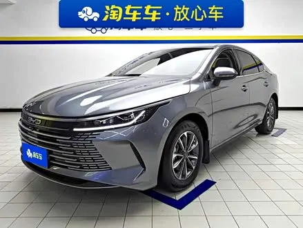 BYD DESTROYER 05 2024