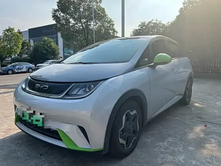 BYD DOLPHIN — из Китая под ключ
