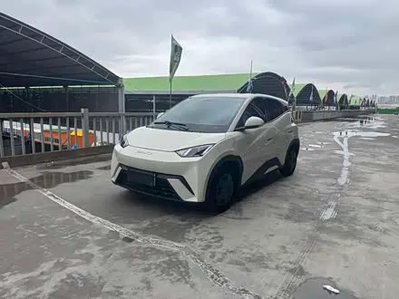 BYD SEAGULL — из Китая под ключ