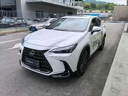 LEXUS NX — из Китая под ключ