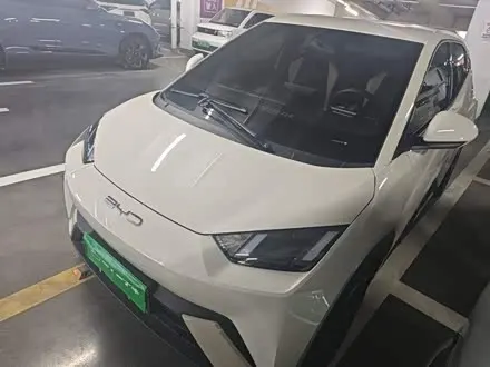 BYD SEAGULL — из Китая под ключ