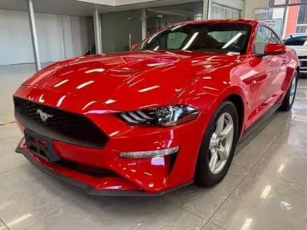 FORD MUSTANG — из Китая под ключ