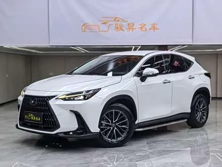 LEXUS NX — из Китая под ключ