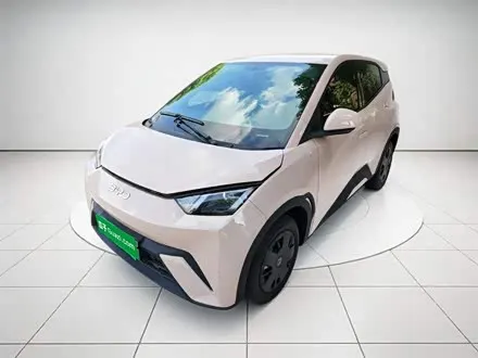 BYD SEAGULL — из Китая под ключ