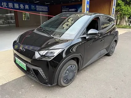 BYD SEAGULL — из Китая под ключ